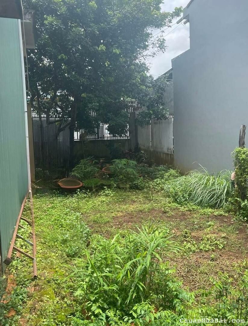 💥Đất TC 5*30m,hẻm Nguyễn Chí Thanh,ngay Eco City,nhiều lô xung quanh