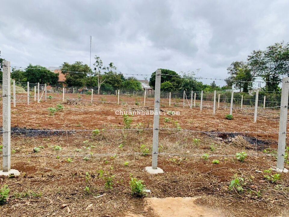 💥Đất TC 15*20m,Hẻm Nguyễn Xuân Nguyên,gần Đg Ngô Chí Quốc nối dài 