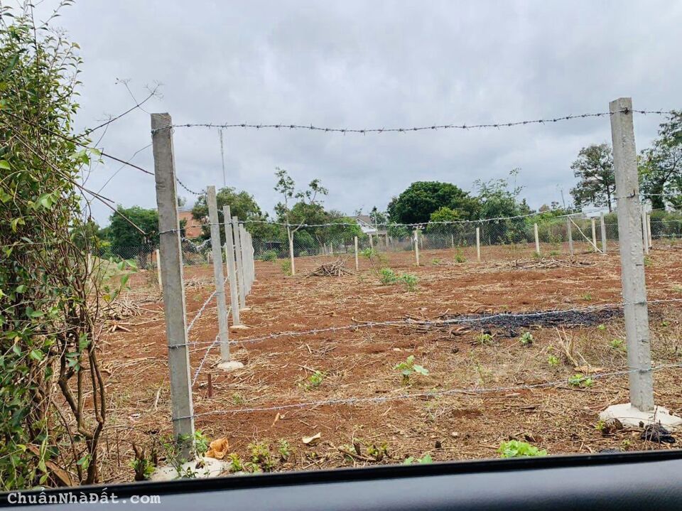 💥Đất TC 15*20m,Hẻm Nguyễn Xuân Nguyên,gần Đg Ngô Chí Quốc nối dài 