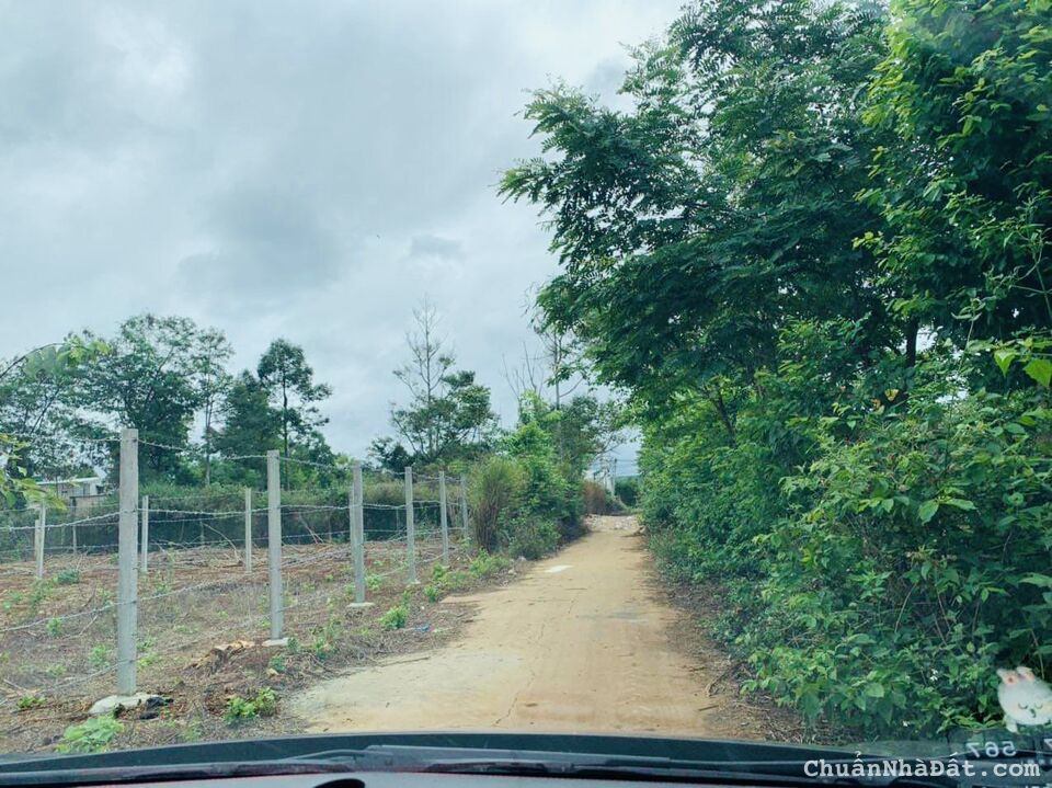 💥Đất TC 15*20m,Hẻm Nguyễn Xuân Nguyên,gần Đg Ngô Chí Quốc nối dài 