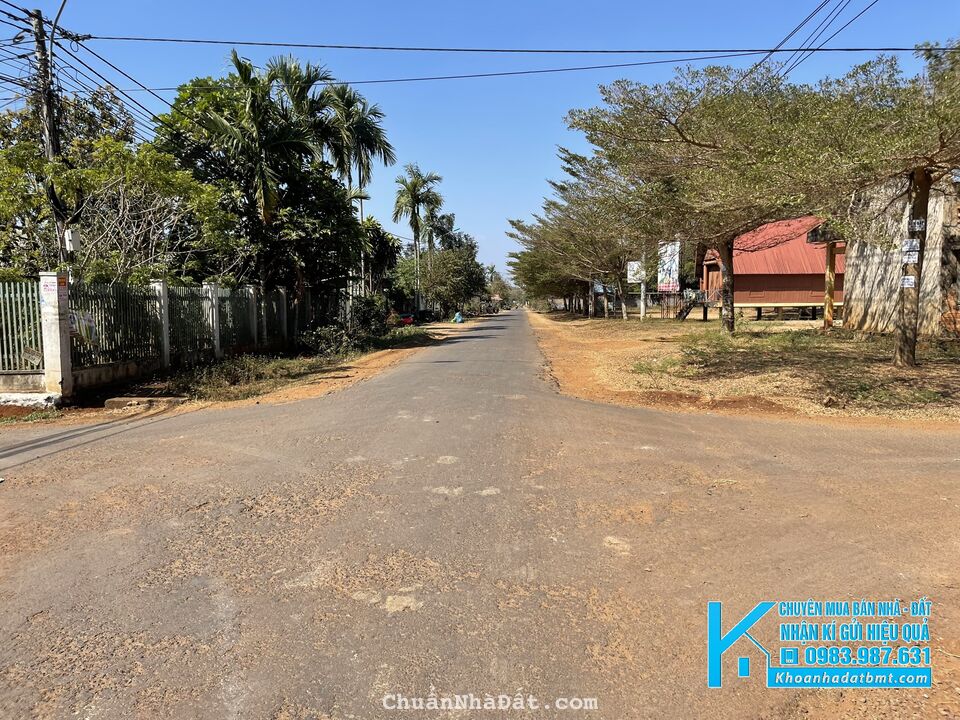 💥Đất TC 5*50m,2t1,Đg Nguyễn Xuân Nguyên,gần sân banh.nhiều lô khác