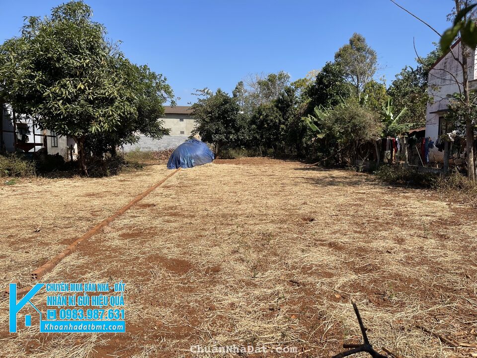 💥Đất TC 5*50m,2t1,Đg Nguyễn Xuân Nguyên,gần sân banh.nhiều lô khác