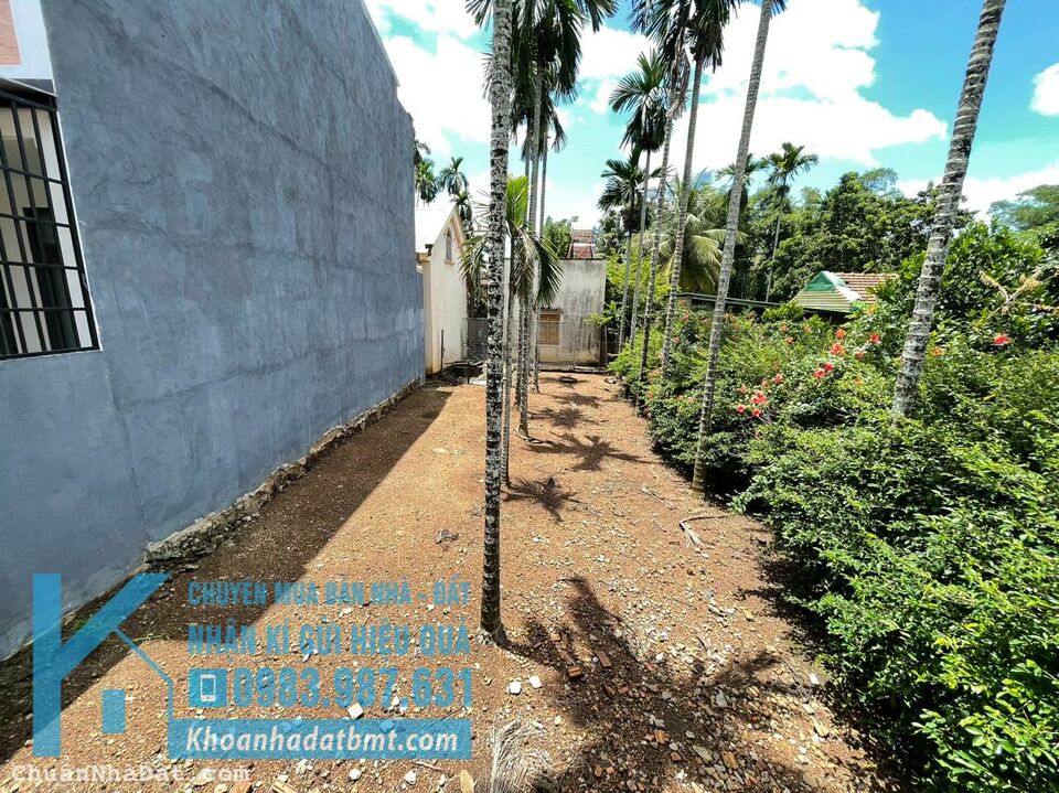 💥Đất TC 7,1*19m,nở hậu 9,6m,hẻm 200 Ywang,nhiều lô khác