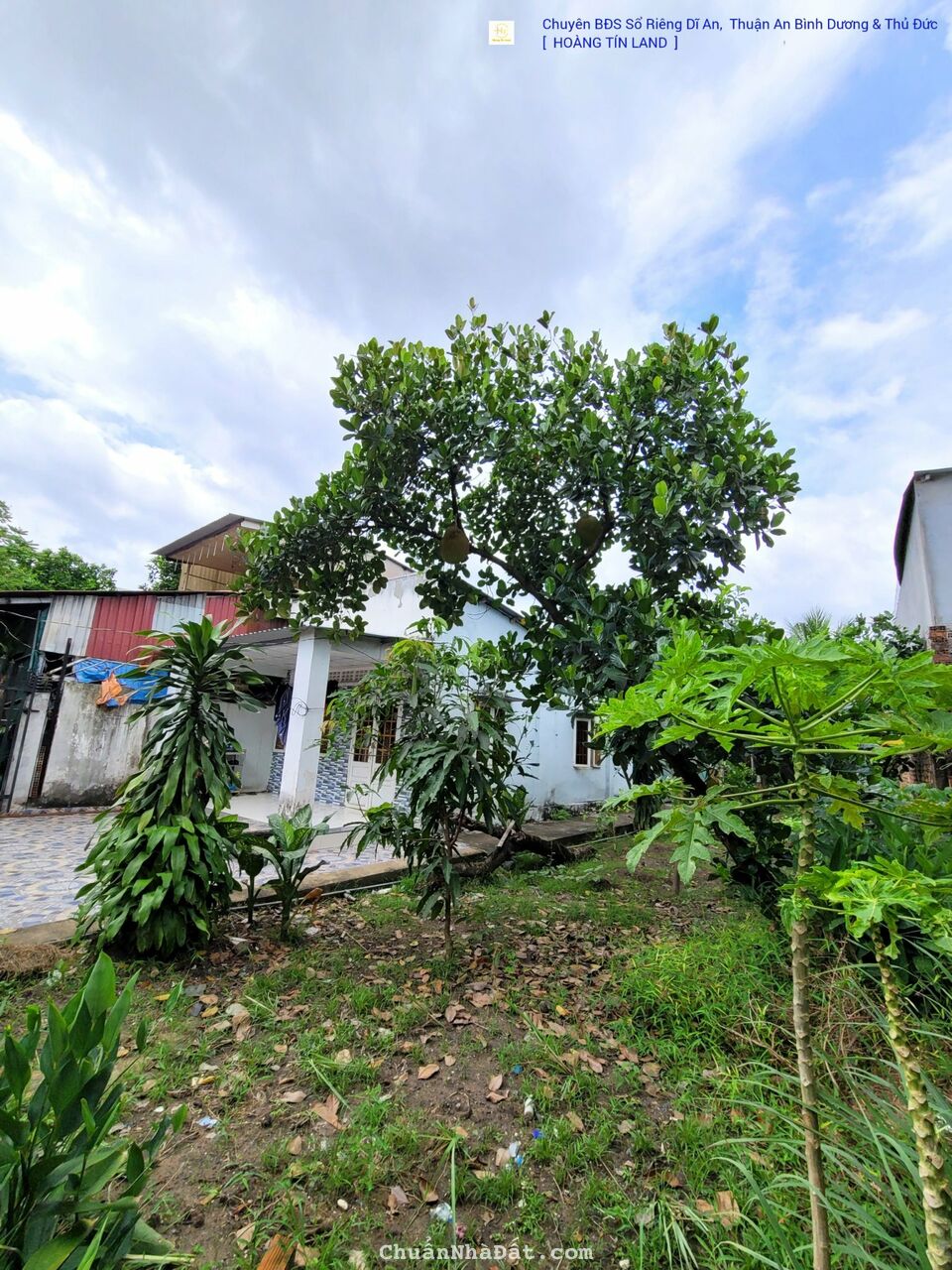 Bán Đất Diện Tích 300m2, Chỉ 2,6 tỷ Ngây Trung Tâm Thành Phố Thuận An.