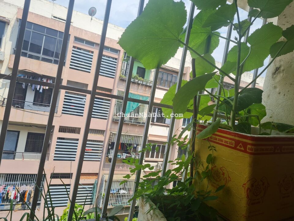 Chính Chủ bán căn hộ 72m2 và 80m2 CC Sơn Kỳ giá tốt, Full nội thất