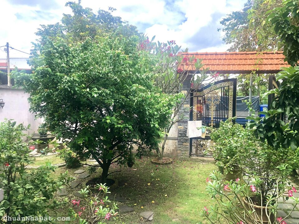 BIỆT THỰ SÂN VƯỜN KHU PHÂN LÔ CỰC ĐẸP. KHÔNG QUY HOẠCH - KHÔNG LỘ GIỚI. 15 tỷ 5