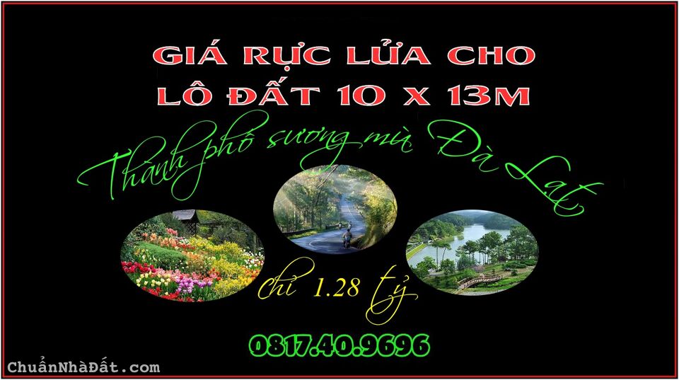 LỢI THẾ ĐẤT BÁN 10 X 13m ĐÃ CÓ SỔ HỒNG TẠI THÀNH PHỐ ĐÀ LẠT. LỢI THẾ ĐẤT BÁN 10 X 13m ĐÃ CÓ SỔ HỒNG TẠI THÀNH PHỐ ĐÀ LẠT.