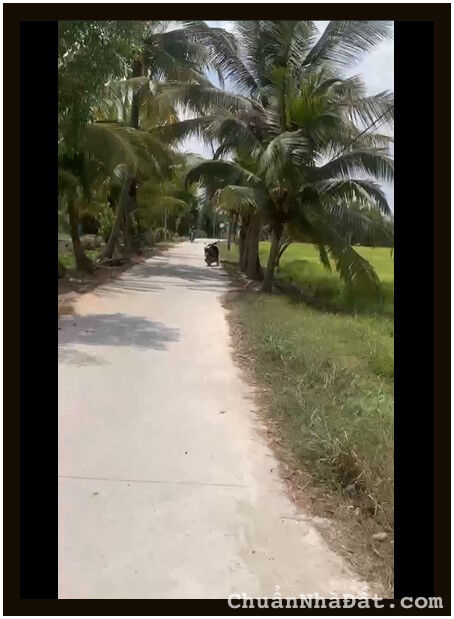 Cần bán rẻ lô đất biệt thự 20 x 25m Huyện Đức Hòa Long An