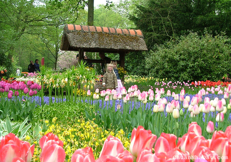 Cơ hội sở hữu lô đất đẹp 10 x 13m trung tâm thành phố Đà Lạt chỉ 1.38 tỷ Cơ hội sở hữu lô đất đẹp 10 x 13m trung tâm thành phố Đà Lạt chỉ 1.38 tỷ