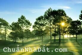 Lợi thế tăng giá mạnh lô đất 10 x 13m sổ hồng tại thành phố Đà Lạt. Lợi thế tăng giá mạnh lô đất 10 x 13m sổ hồng tại thành phố Đà Lạt.