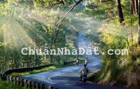 Giá rực lửa cho lô đất 10 x 13m làng hoa Thái Phiên phường 12 TP. Đà Lạt