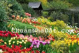 Bán rẻ lô đất giá đầu tư 5 x 13m Thái Phiên phường 12 Thành Phố Đà Lạt