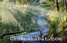 Bán rẻ lô đất giá đầu tư 5 x 13m Thái Phiên phường 12 Thành Phố Đà Lạt