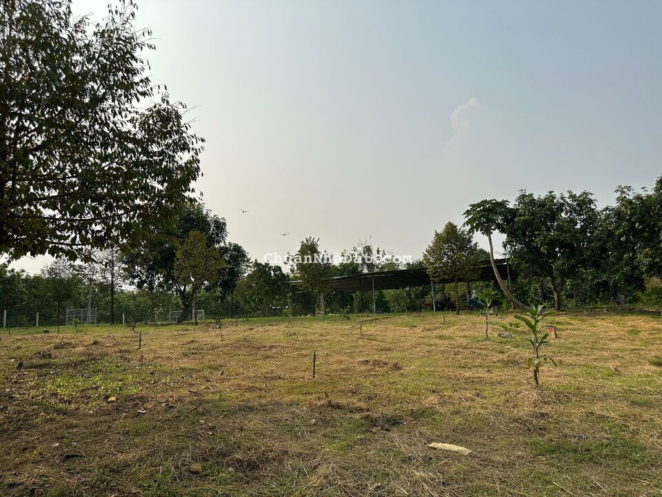 Bán dất ngộp Đồng Nai giá 1ty4