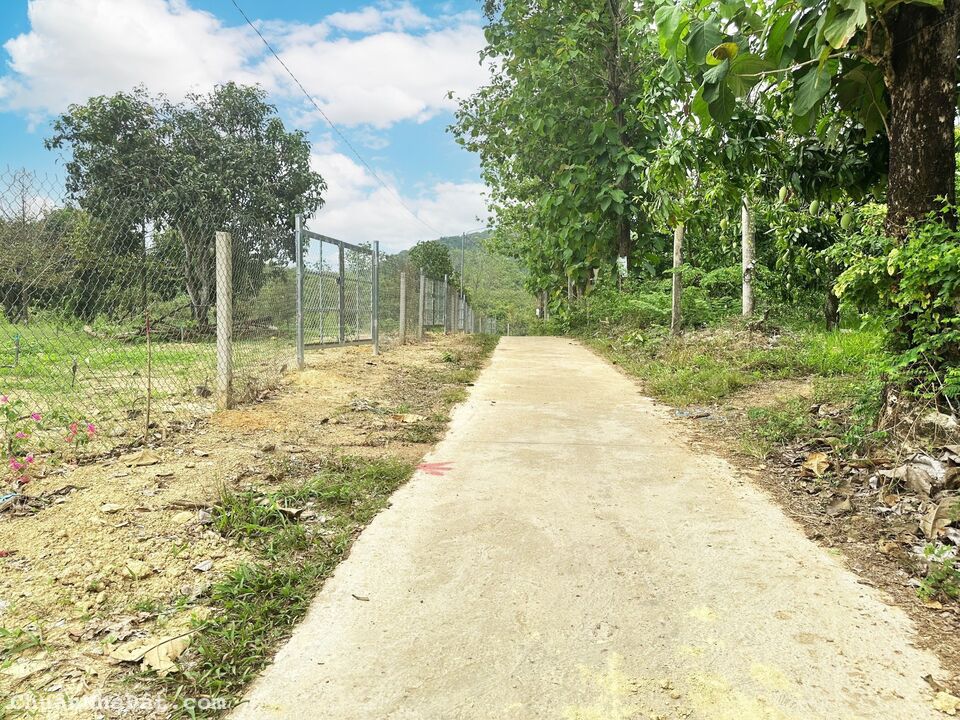 Bán dất ngộp Đồng Nai giá 1ty4