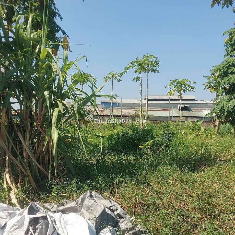 Đất Củ Chi Phước Thạnh 500m2 giá 1tỷ1 có thương lượng Đất Củ Chi Phước Thạnh 500m2 giá 1tỷ1 có thương lượng