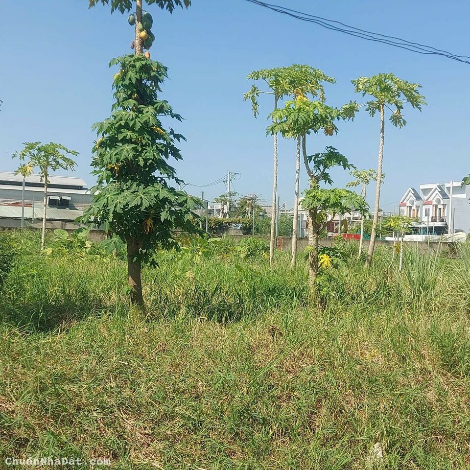 Đất Củ Chi Phước Thạnh 500m2 giá 1tỷ1 có thương lượng Đất Củ Chi Phước Thạnh 500m2 giá 1tỷ1 có thương lượng