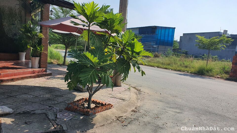 Bán đất ĐH xã Mỹ Hạnh Nam cách TL 824 200m, DT 200m2 đất thổ cư SHR