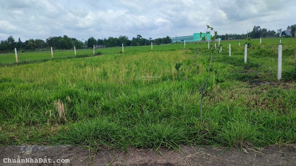 Bán 676m đất trồng cây tỉnh lộ 7 , Phước Thạnh Củ Chi SHR Gía chốt 990TR