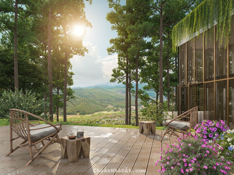 MỞ BÁN  "Biệt Thự Thung Lũng Thanh Xuân nằm Trong Rừng Thông 50 Năm Tuổi, 8 hồ nước bao quanh.