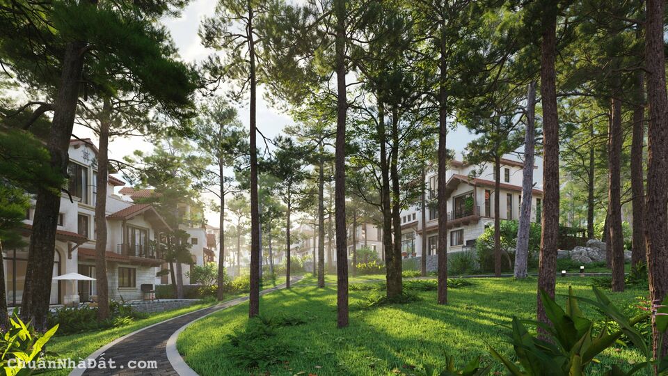 MỞ BÁN  "Biệt Thự Thung Lũng Thanh Xuân nằm Trong Rừng Thông 50 Năm Tuổi, 8 hồ nước bao quanh.