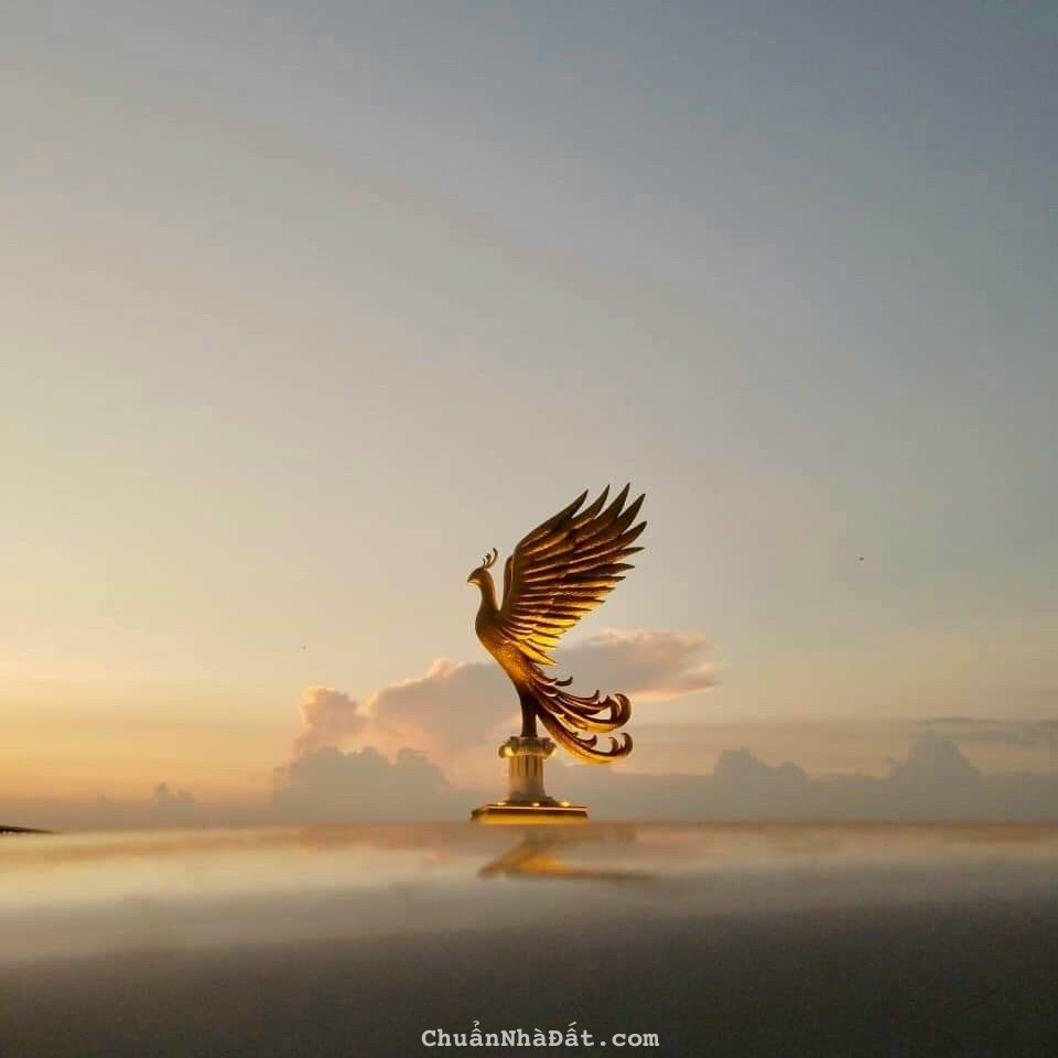 Bán nhà mặt tiền đường Nguyễn Hữu Thọ, P. Hòa Thuận Tây, Quận Hải Châu