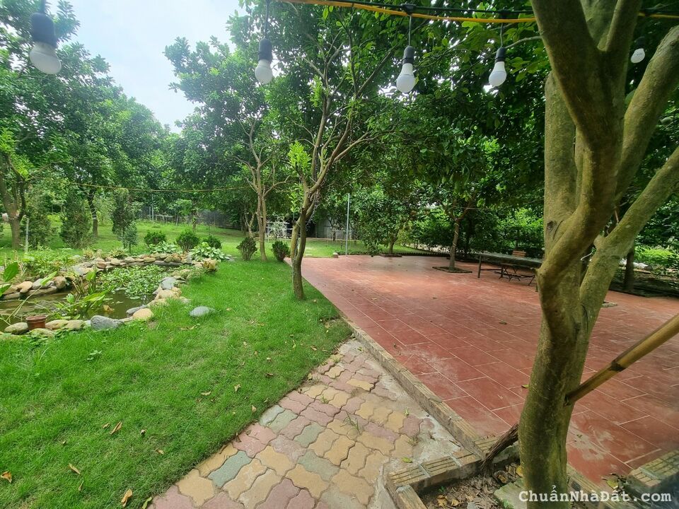 Cho thuê biệt thự vườn ở Tây Hồ Hà Nội Cho thuê biệt thự vườn ở Tây Hồ Hà Nội