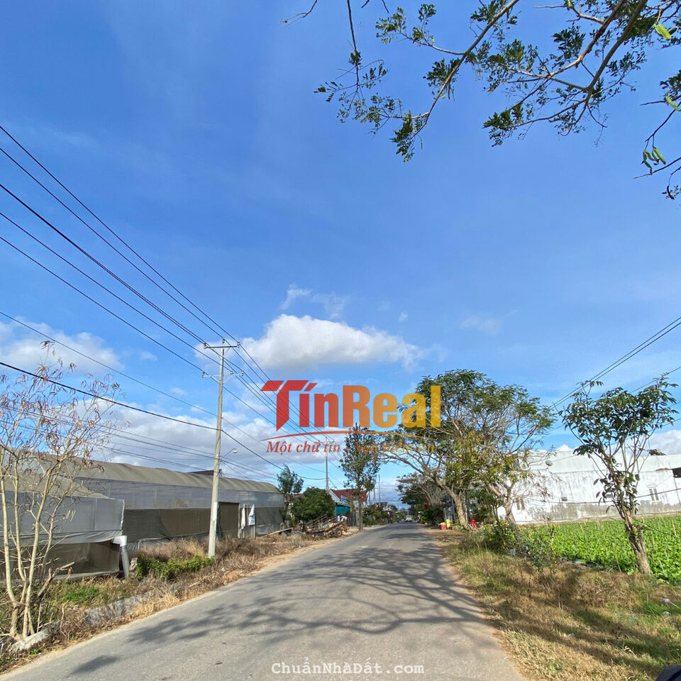 ĐẦU TƯ ĐẤT TRUNG TÂM VÙNG VEN TP ĐÀ LẠT CHỈ VÀI TRĂM TRIỆU