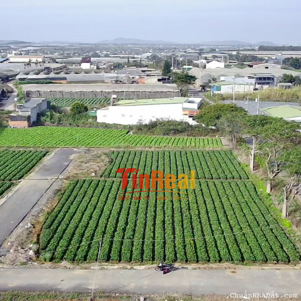 ĐẦU TƯ ĐẤT TRUNG TÂM VÙNG VEN TP ĐÀ LẠT CHỈ VÀI TRĂM TRIỆU