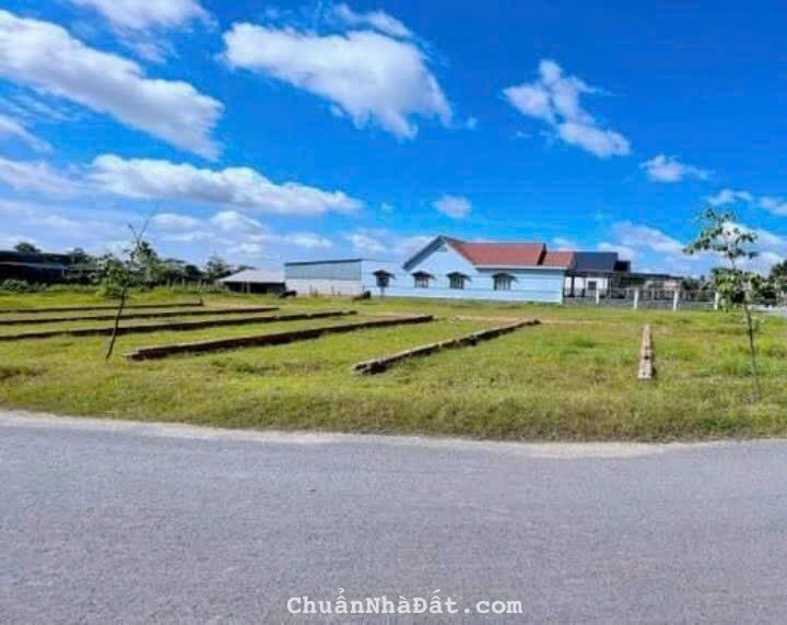 BÁN NHANH ĐẤT KCN GÒ DẦU- TÂY NINH, SHR FULL THỔ CƯ 125M2 