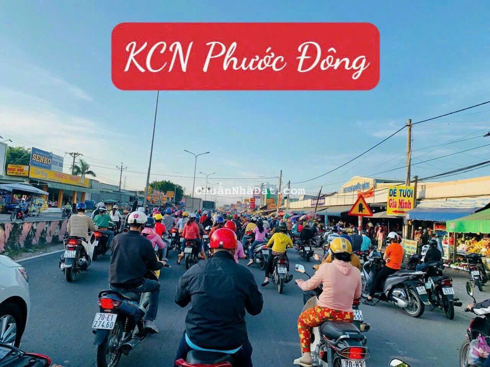 BÁN NHANH ĐẤT KCN Phước Đông GÒ DẦU- TÂY NINH, SHR FULL THỔ CƯ 