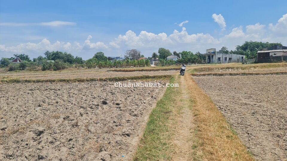 Bán 666m2 đất ONT Tân Phước - TX LaGi HẠ GIÁ 40% 3.75tr/m2 sổ riêng 