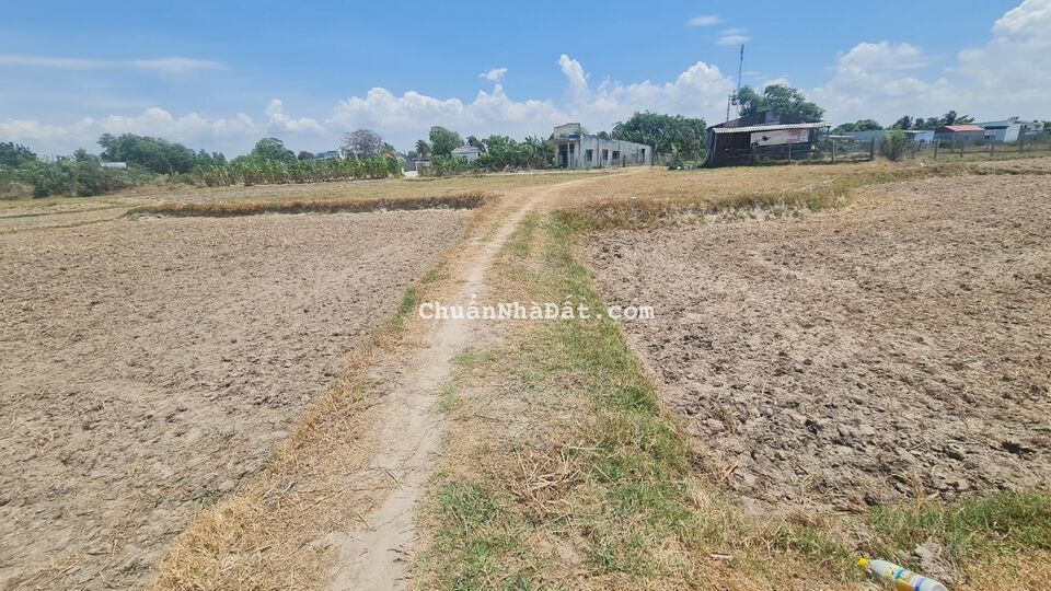 Bán 666m2 đất ONT Tân Phước - TX LaGi HẠ GIÁ 40% 3.75tr/m2 sổ riêng 