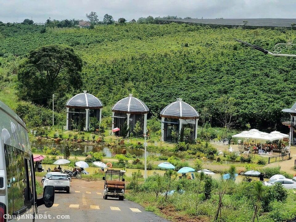 Đất Ngộp Bảo Lộc chỉ 490tr/200m2 full thổ gần Cao Tốc