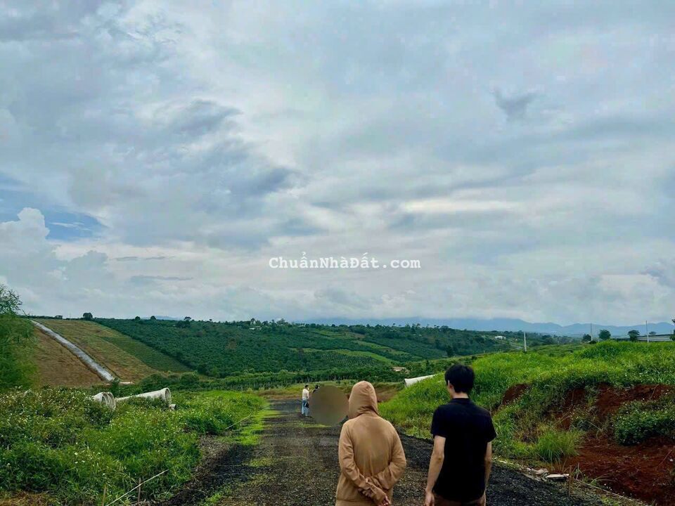 Đất Ngộp Bảo Lộc chỉ 490tr/200m2 full thổ gần Cao Tốc