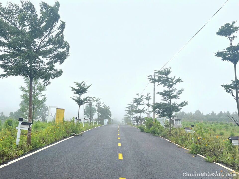 Bán Gấp lô Lộc Tân giá cực rẻ gần Cao Tốc Bán Gấp lô Lộc Tân giá cực rẻ gần Cao Tốc