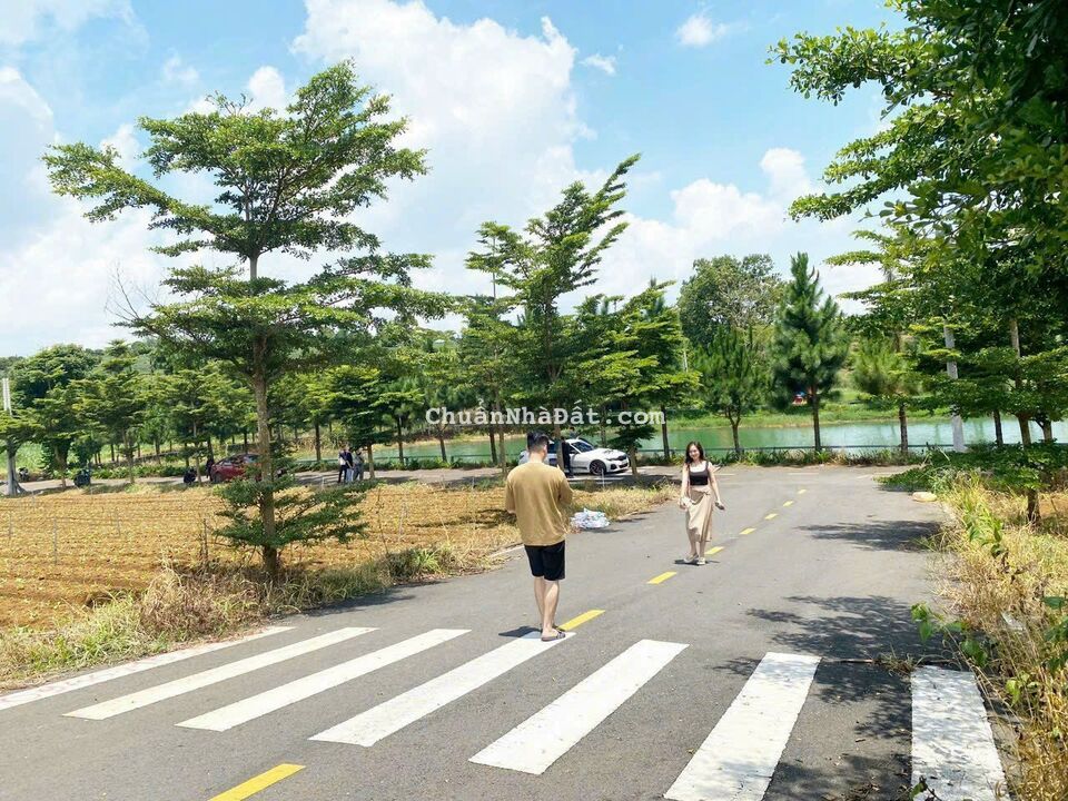 Bán Gấp lô Lộc Tân giá cực rẻ gần Cao Tốc Bán Gấp lô Lộc Tân giá cực rẻ gần Cao Tốc