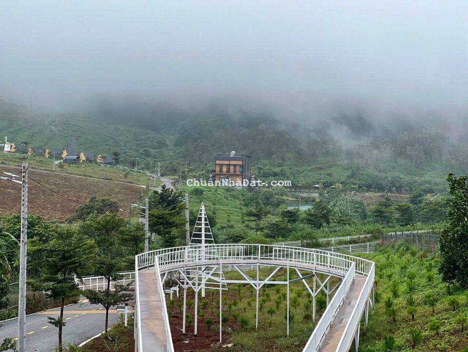 Bán Gấp lô Lộc Tân giá cực rẻ gần Cao Tốc Bán Gấp lô Lộc Tân giá cực rẻ gần Cao Tốc