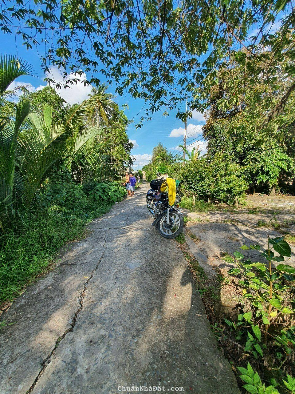 3 TỶ 240 TRIỆU: 611m2 đất tại Xẻo Lá, Phú Thứ, Cái Răng, TP Cần Thơ