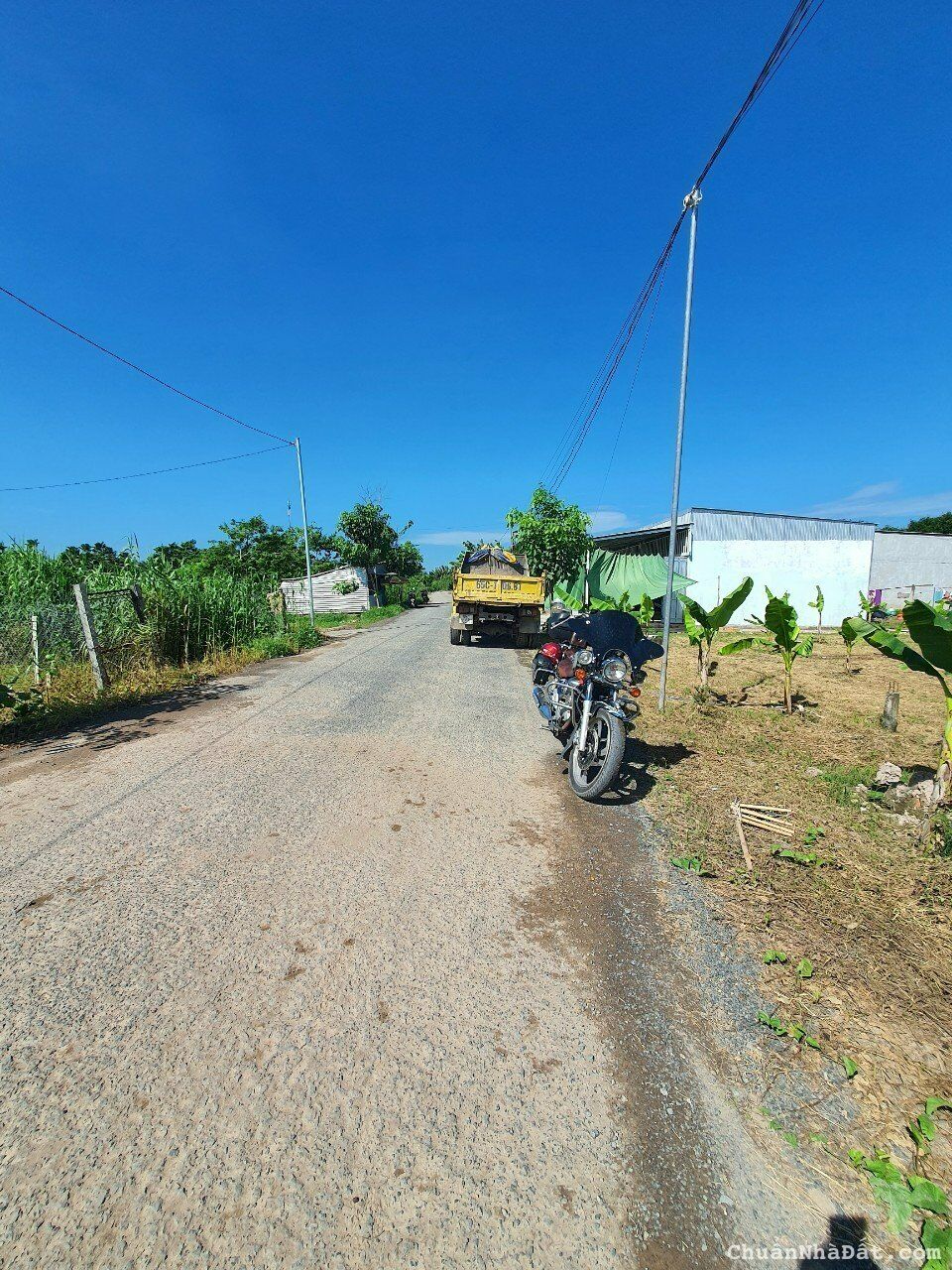 Giảm 100 triệu còn 1,4 tỷ: 250m2 đất lộ hậu kênh Thạnh Đông