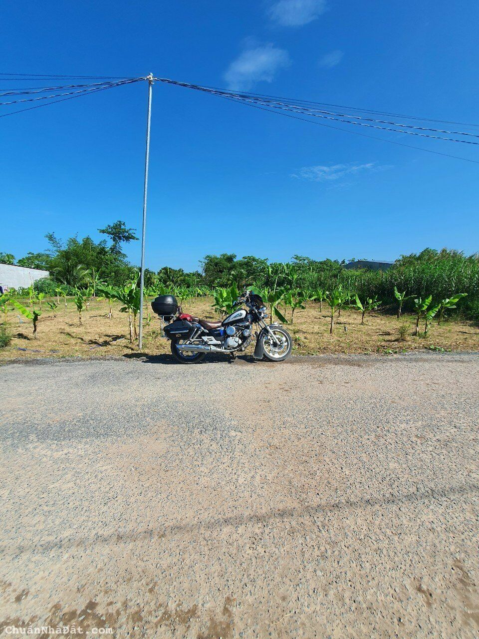 Giảm 100 triệu còn 1,4 tỷ: 250m2 đất lộ hậu kênh Thạnh Đông