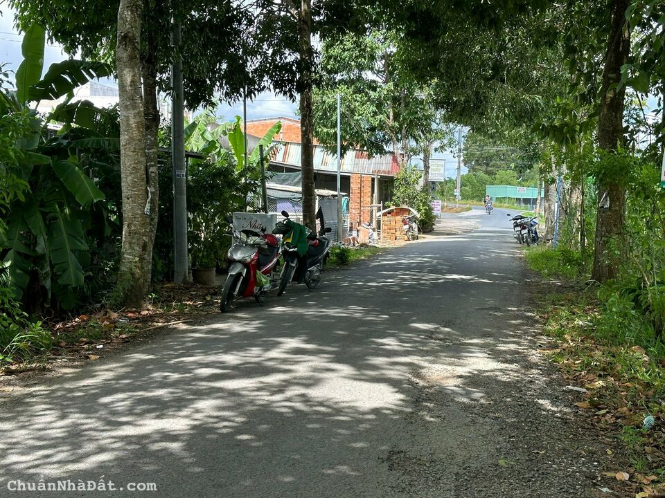1,6 TỶ: 265m2 đất lộ nhựa Cái Chanh đi Đông Phú cách chợ Cái Chanh 2km