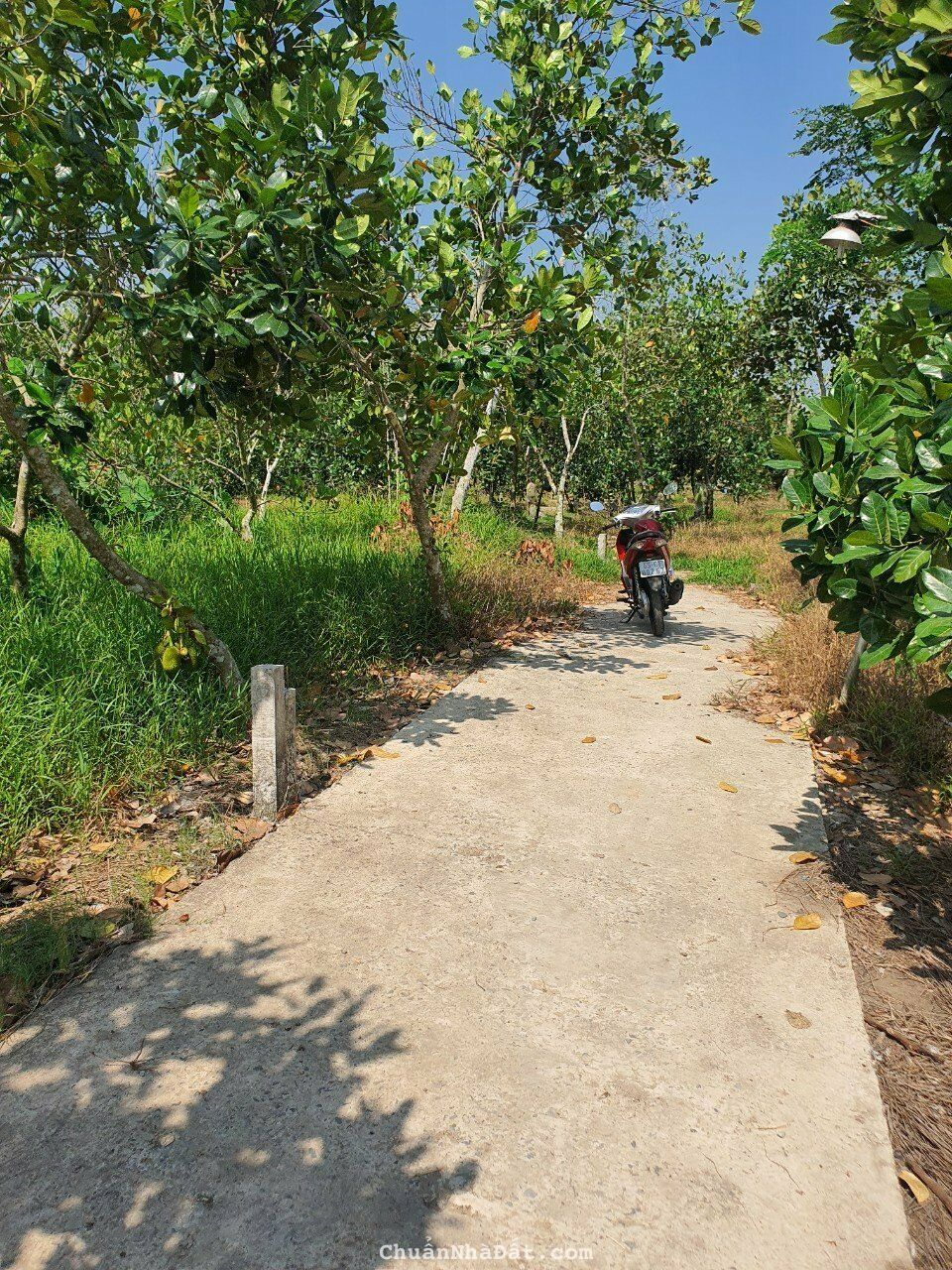 550 TRIỆU: 195,6m2 nhánh Rạch Giồng Ổi, đường Trương Vĩnh Nguyên, Phú Thứ, Cái Răng, TP Cần Thơ    