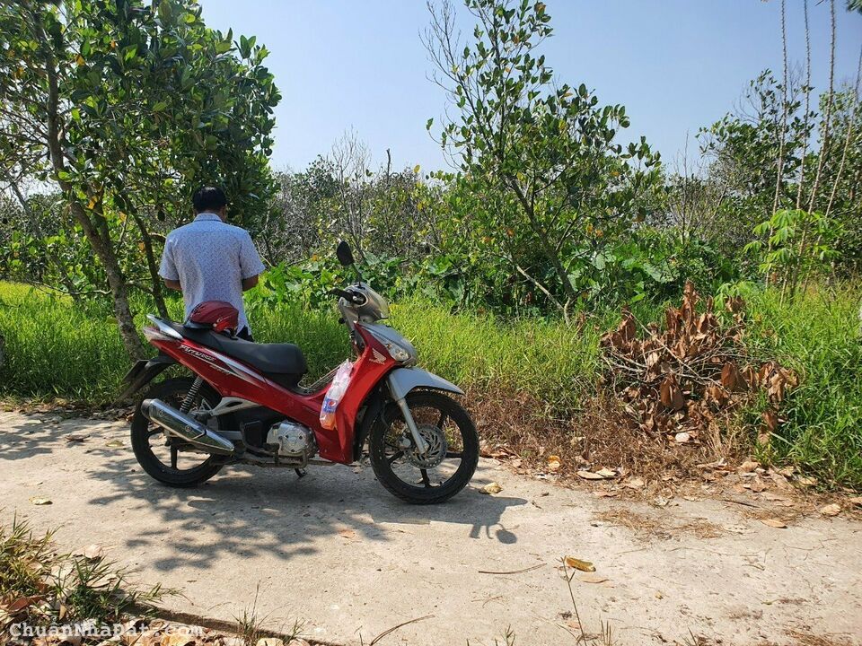 550 TRIỆU: 195,6m2 nhánh Rạch Giồng Ổi, đường Trương Vĩnh Nguyên, Phú Thứ, Cái Răng, TP Cần Thơ    