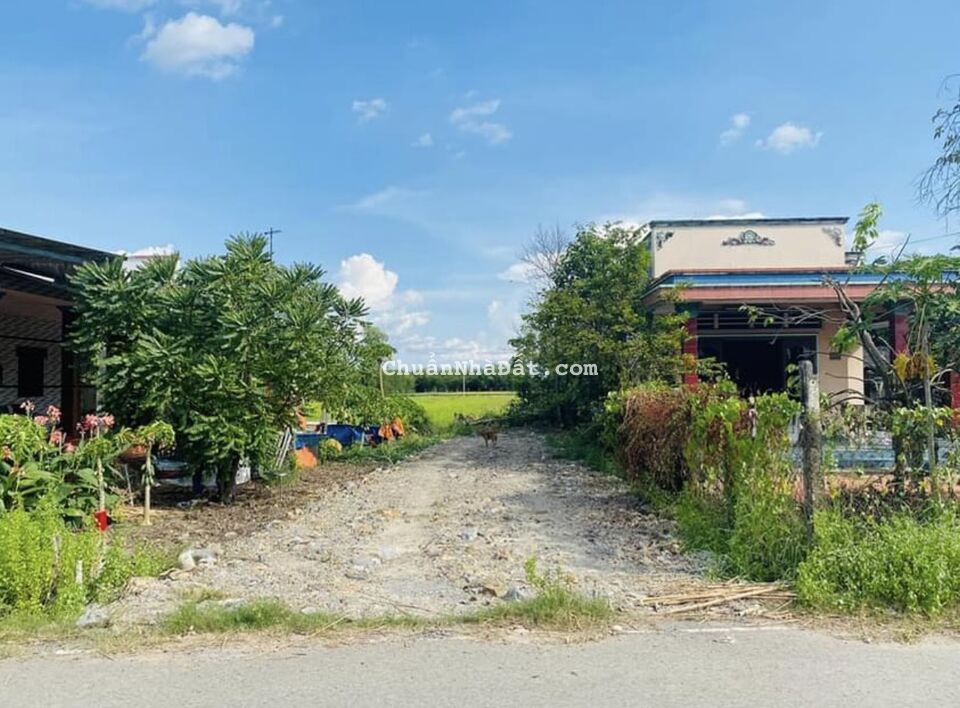 ⚡Đất dân mặt tiền Ba Sa ,Phước Hiệp , Củ Chi 167m2 520tr full thổ ⚡️