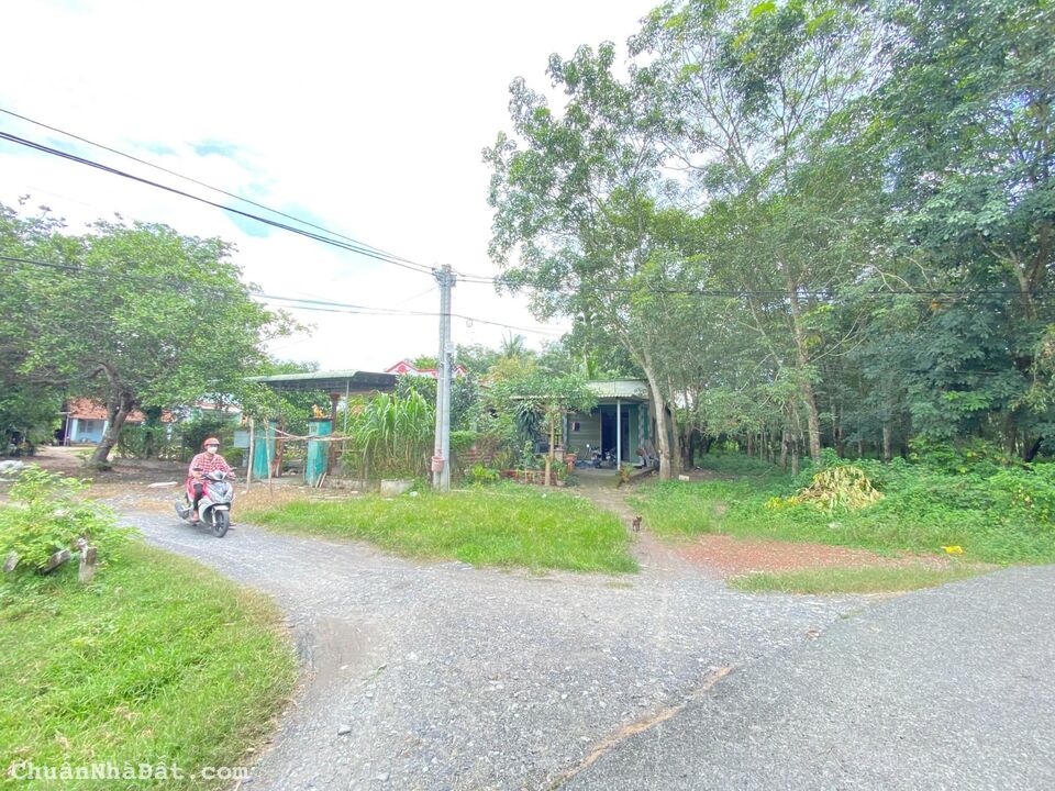 Bán đất full thổ shr 164m2 520tr ngay Trương Thị Kiện , Thái Mỹ , Củ Chi 