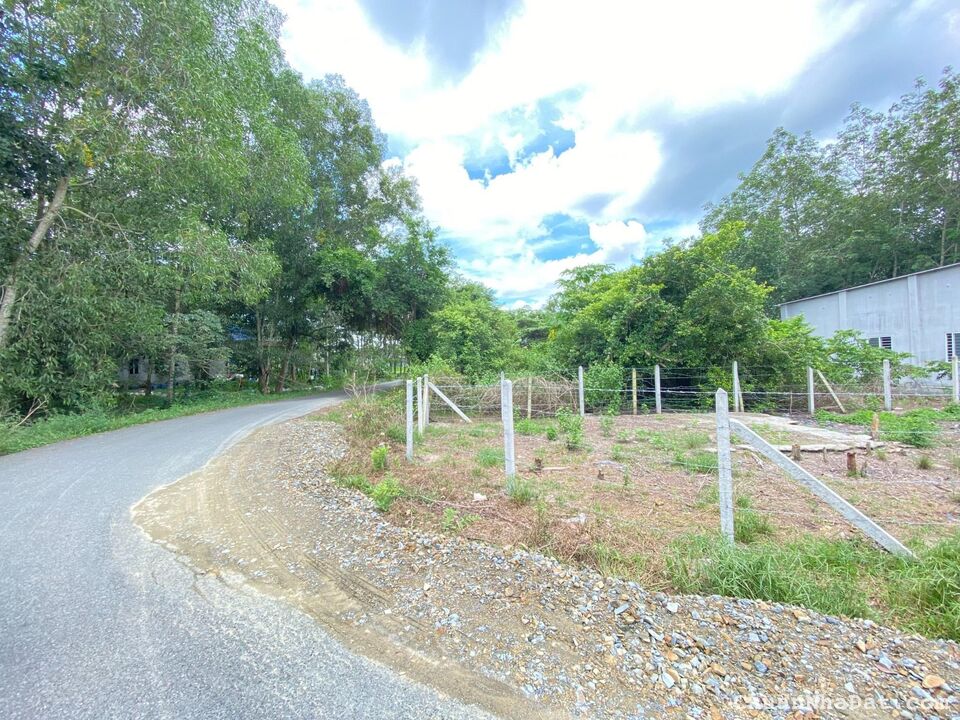 Bán đất full thổ shr 164m2 520tr ngay Trương Thị Kiện , Thái Mỹ , Củ Chi 