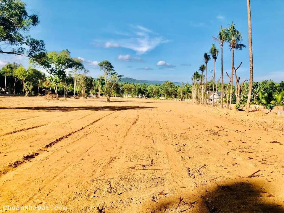 Bán đất vàng tại đảo PHÚ QUỐC 