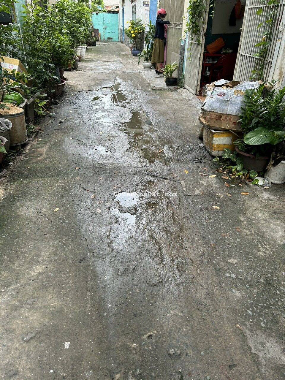 Nhà xinh xinh 1 lầu có 2PN tại đông hưng thuận 06, gần chợ cây sộp, kdc an sương, song hành, tham l