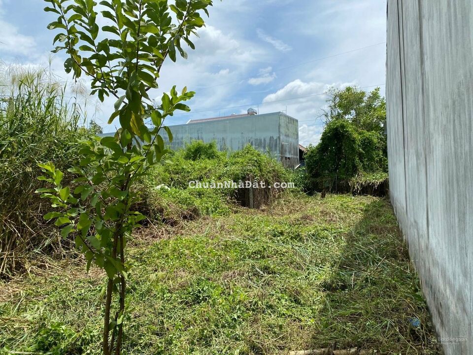 Kẹt tiền Bán GấP lô đất Bình Chánh, đường Nguyễn Hữu Trí, DT:105m2 -Giấy tờ đầy đủ.